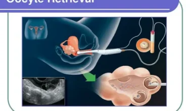 AI oocyte assessment