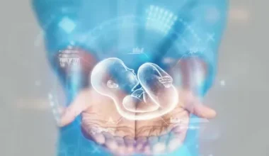 Fertility Benefit Personalization with AI