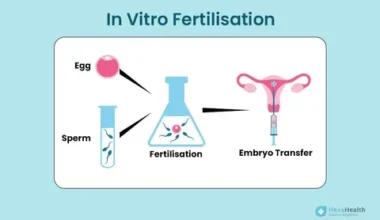 Fertility prediction technology