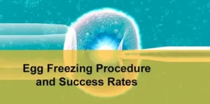 Egg Freezing Success Rates