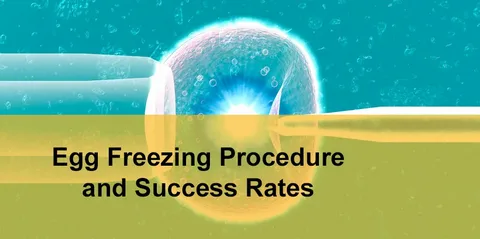 Egg Freezing Success Rates