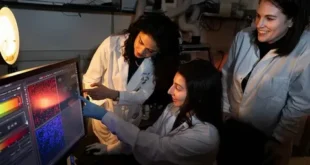 Fertility Research Breakthroughs