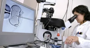 IVF Research Studies