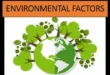 Environmental & Lifestyle Factors Affecting Fertility