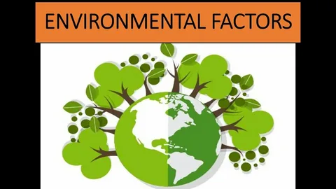 Environmental & Lifestyle Factors Affecting Fertility
