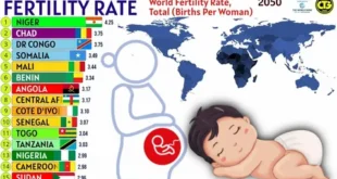 Fertility trends and statistics