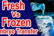 Frozen embryo transfer fet complete guide