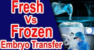 Frozen embryo transfer fet complete guide