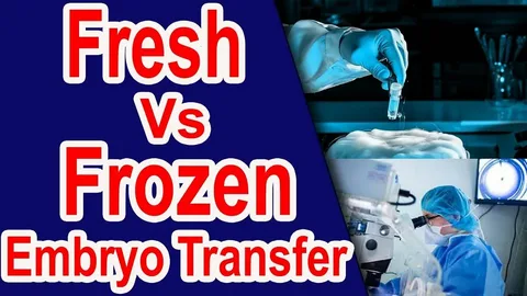 Frozen embryo transfer fet complete guide