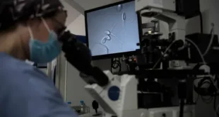 Can Artificial Gametes Help Infertility