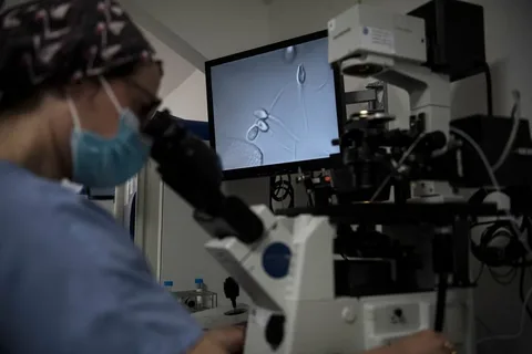 Can Artificial Gametes Help Infertility