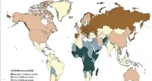 Global Fertility Rates Crisis 2026