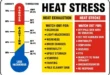 How Heat Stress Affects Conception Rates