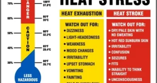 How Heat Stress Affects Conception Rates