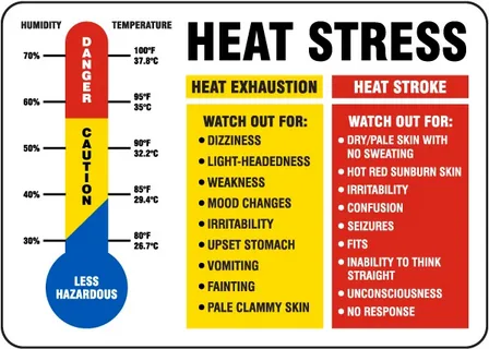 How Heat Stress Affects Conception Rates