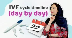 How Long Does IVF Take to Get Pregnant