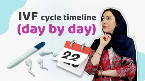 How Long Does IVF Take to Get Pregnant