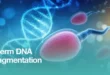 How to Reduce Sperm DNA Fragmentation Naturally and Medically