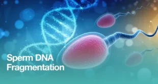 How to Reduce Sperm DNA Fragmentation Naturally and Medically