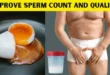 Male Fertility Diet