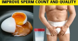 Male Fertility Diet