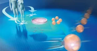 Next-Generation Reproductive Biotechnology for Infertility