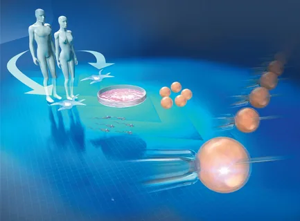 Next-Generation Reproductive Biotechnology for Infertility