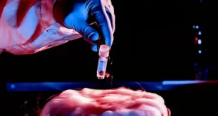 space reproduction research