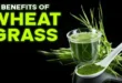 6 Impressive Benefits of Wheatgrass for Fertility