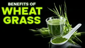 6 Impressive Benefits of Wheatgrass for Fertility