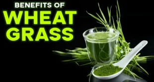 6 Impressive Benefits of Wheatgrass for Fertility
