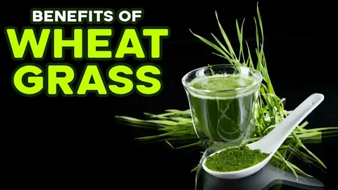 6 Impressive Benefits of Wheatgrass for Fertility