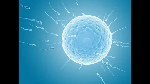 Common IVF Side Effects