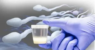 Sperm Storage and Abstinence Effects