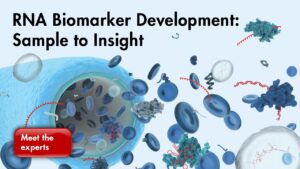 Biomarkers that predict IVF success more accurately