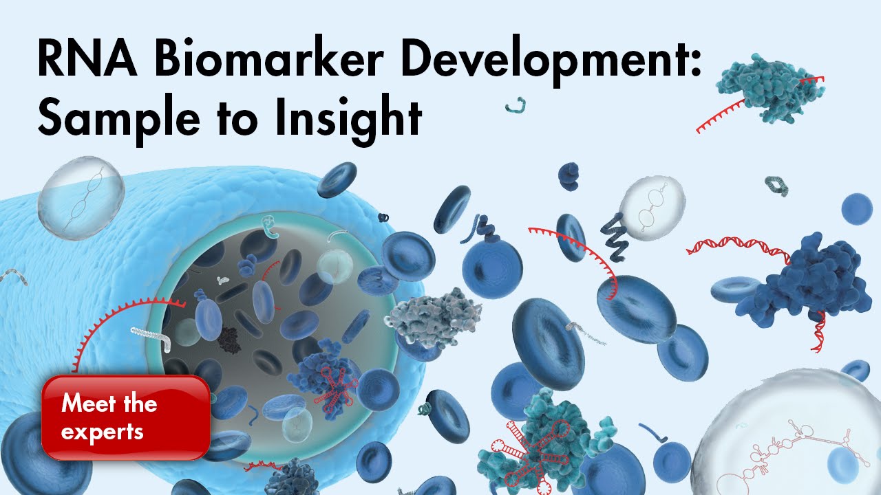 Biomarkers that predict IVF success more accurately