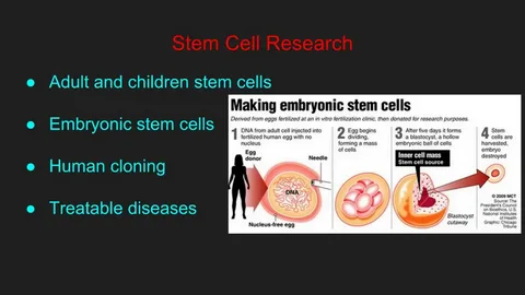 Stem-Cell-Derived Sperm Research